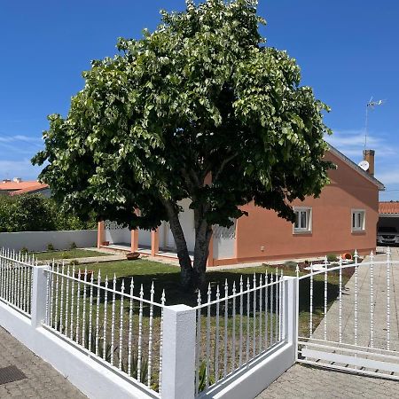 Moradia Alegre No Centro Da Vila Da Tocha. 외부 사진